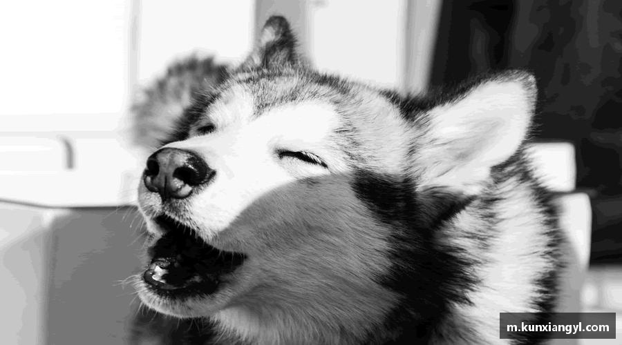 拼尽全力，勇攀人生的高峰。